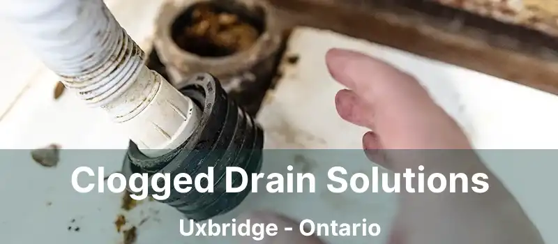  Clogged Drain Solutions Uxbridge - Ontario