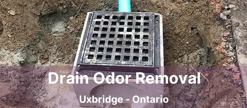  Drain Odor Removal Uxbridge - Ontario