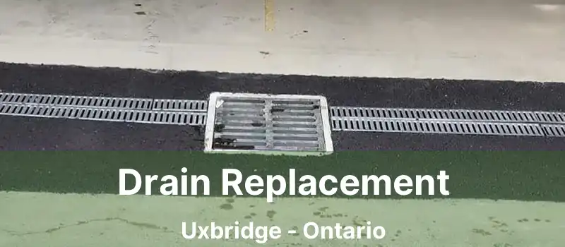  Drain Replacement Uxbridge - Ontario