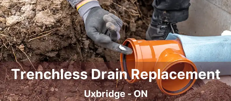  Trenchless Drain Replacement Uxbridge - ON